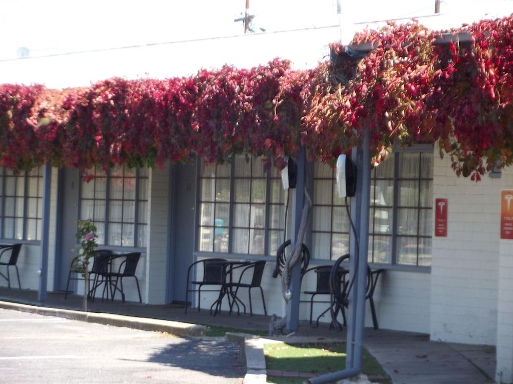 Guichen Bay Motel Robe Exterior foto
